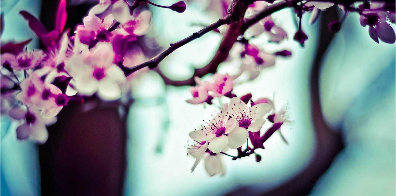 保护你的网站,防范DDoS攻击对你业务的破坏!