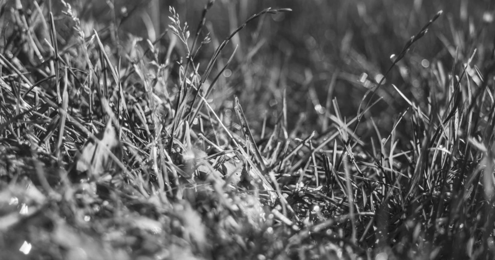 恒悦利用活动营销吸引潜在客户