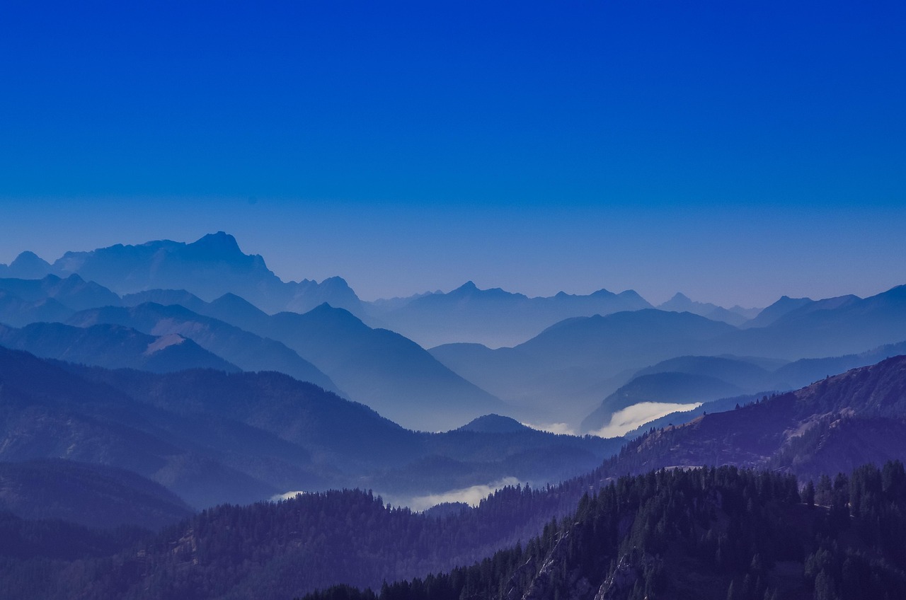 七日世界：草莓视频详情下载教程.APP详情下载教程