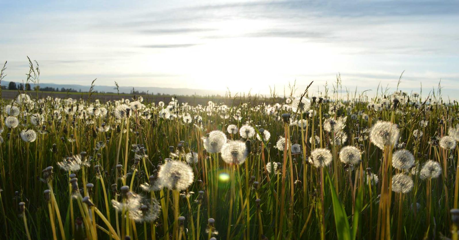 为什么网站结构很重要对于SEO